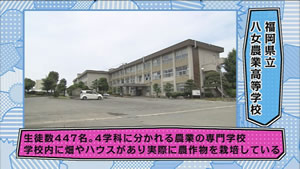 7月19日 放送