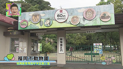 2014年8月23日 放送