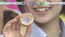 2014年10月25日 放送