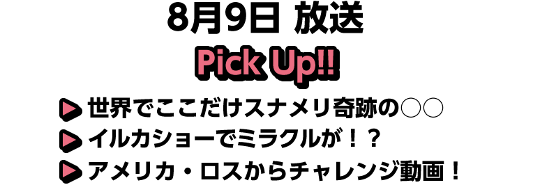 8月9日(日)放送 Pick UP!!▽世界でここだけスナメリ奇跡の○○▽イルカショーでミラクルが！？▽アメリカ・ロスからチャレンジ動画！