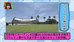 8月9日 放送