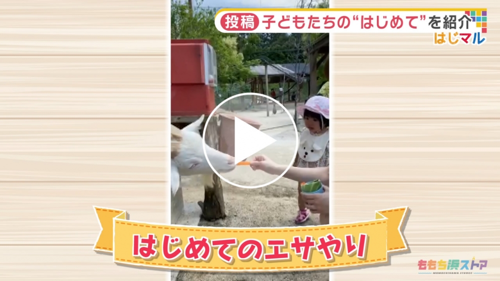 2020年8月14日 OA 川口 結衣ちゃん　はじめての「エサやり」